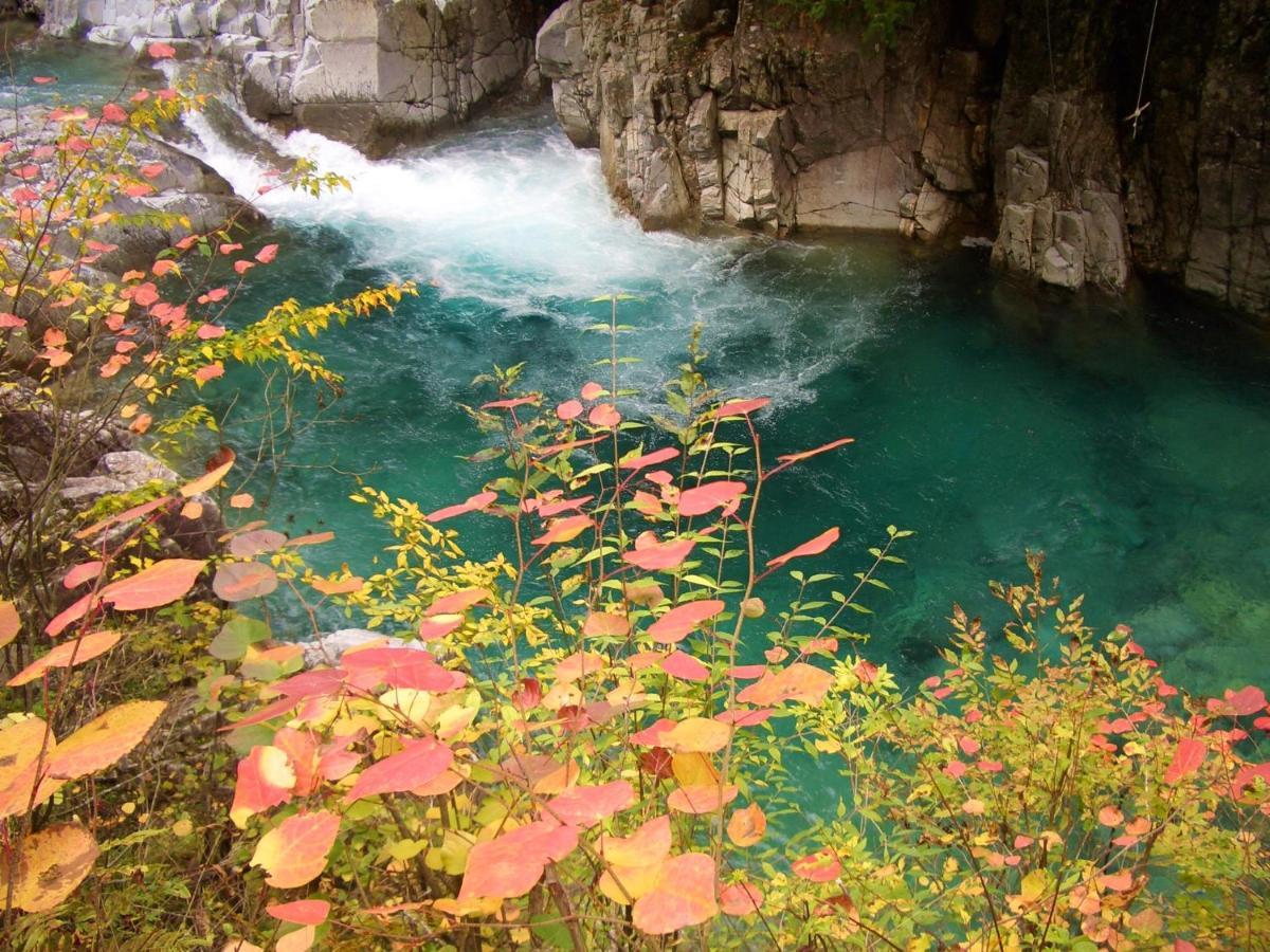 阿寺温泉 フォレスパ木曽あてら荘 Otel Okuwa Dış mekan fotoğraf